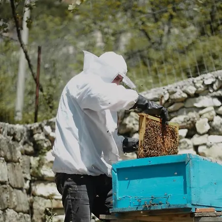 Horská chata Village Bashaj