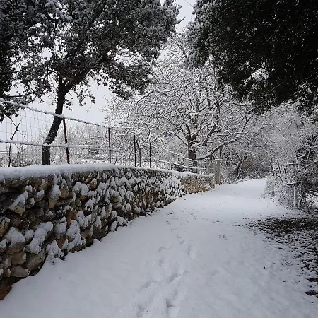 Village