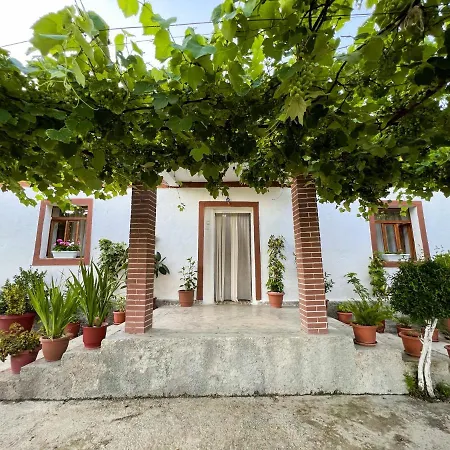 Village * Bashaj