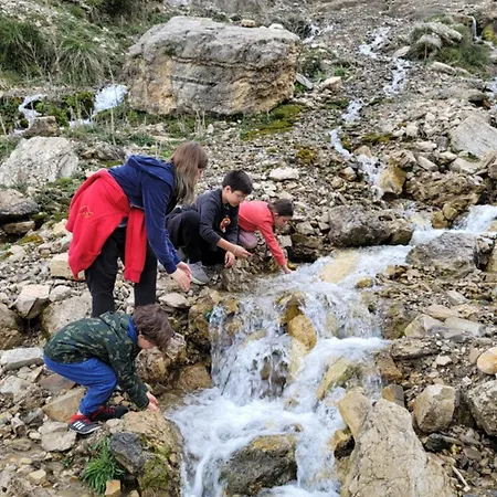 Village * Bashaj