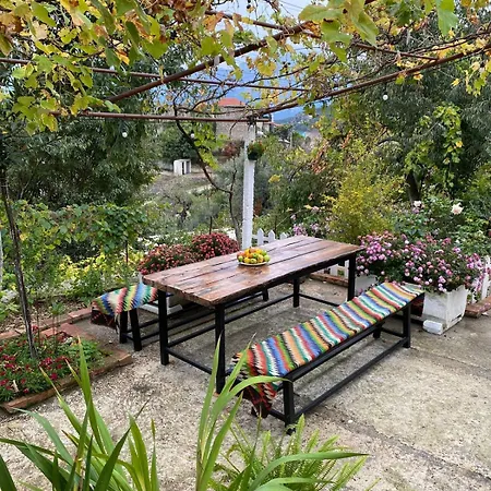 Village Chalet Bashaj